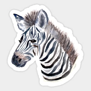 Watercolor Zebra Sticker